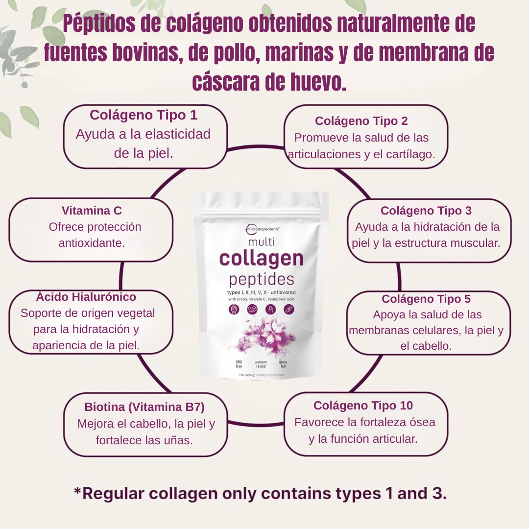 Multicolageno de Péptidos Microingredients® 1lb Mezcla Avanzada de 5 Colágenos, Biotina, Vitamina C y Ácido Hialurónico, descubre los beneficios desde hoy. - Imagen 5