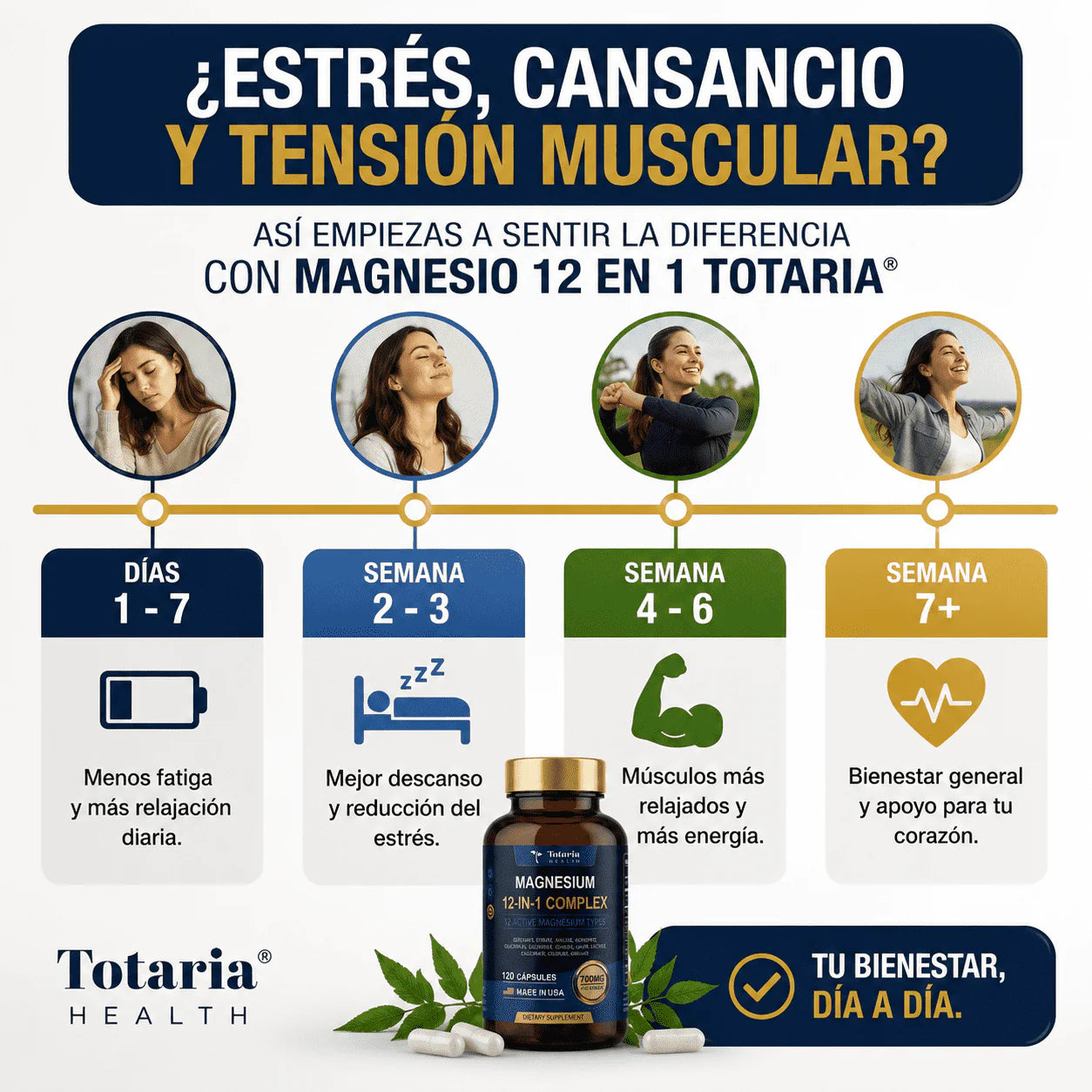 Complejo de Magnesio 700 mg 12 en 1 Totaria, Apoyo muscular y nervioso completo, empieza hoy mismo - Imagen 3